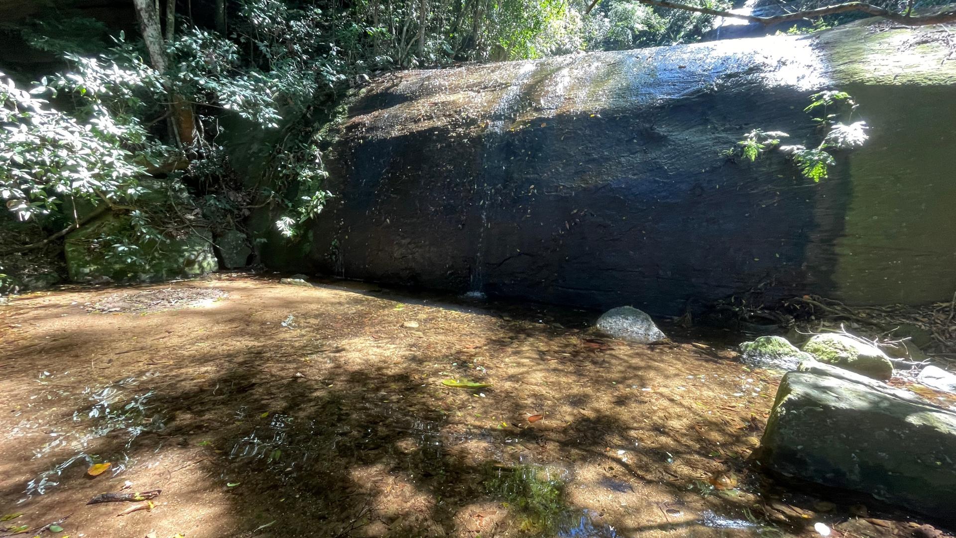 Trilha dos Primatas ebook trilhas urbanas do rio de janeiro cachoeira dos primatas