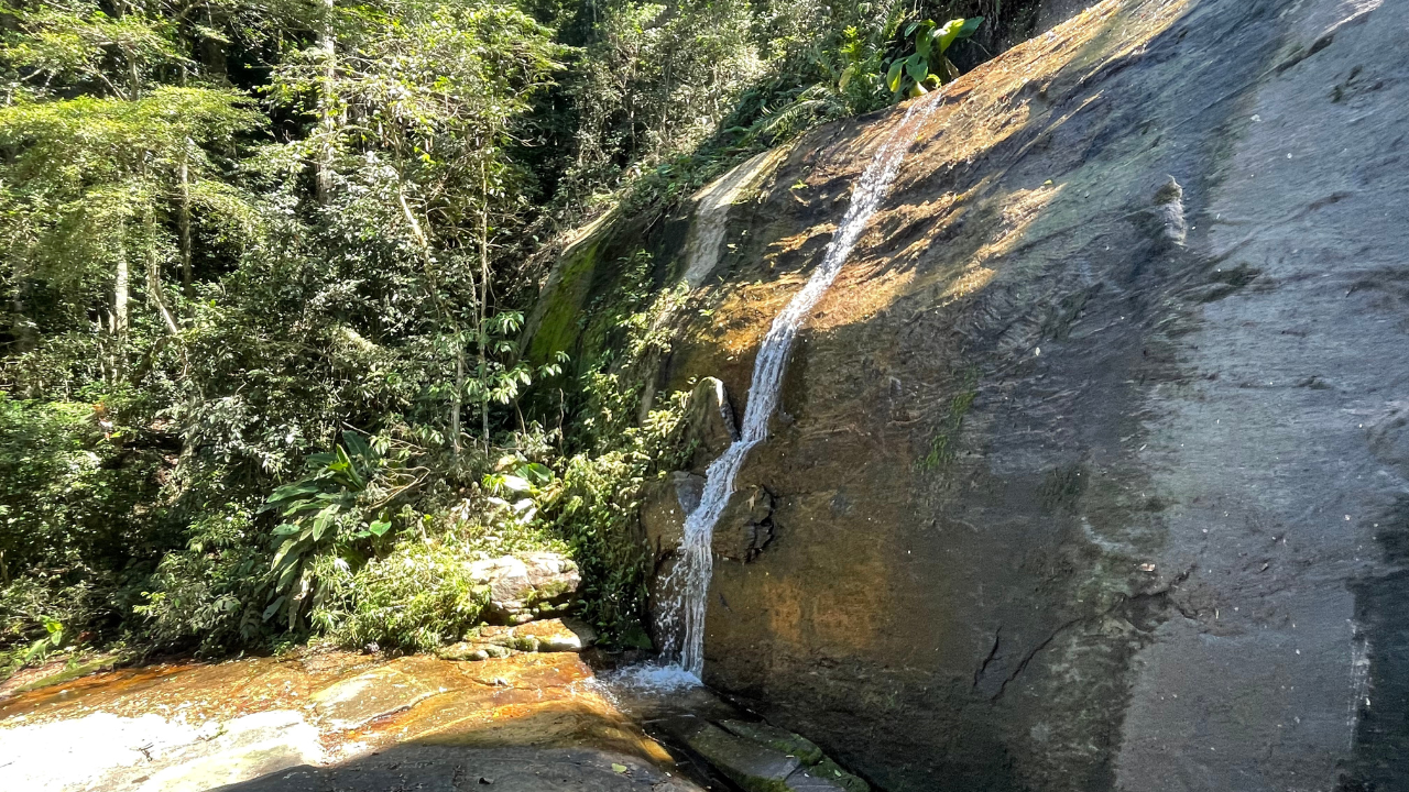 Trilha dos Primatas ebook trilhas urbanas do rio de janeiro cachoeira dos primatas