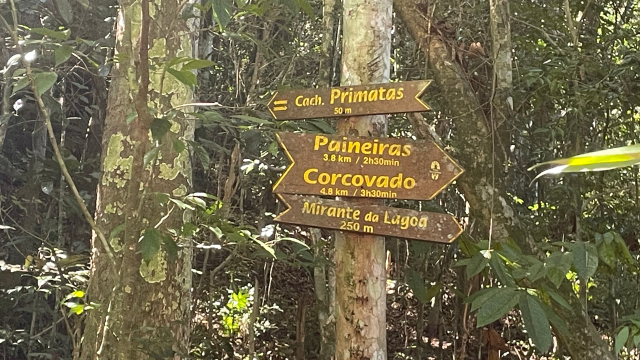 Trilha dos Primatas ebook trilhas urbanas do rio de janeiro