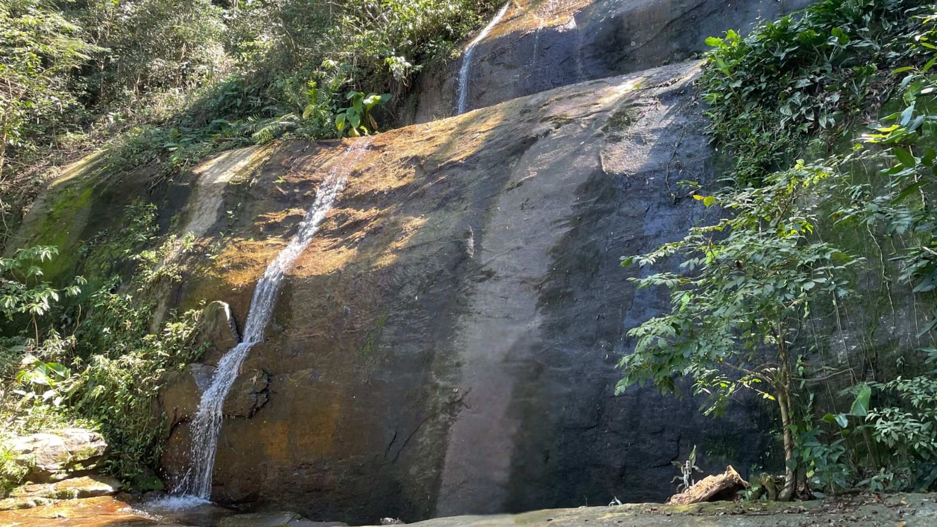Trilha dos Primatas ebook trilhas urbanas do rio de janeiro cachoeira dos primatas