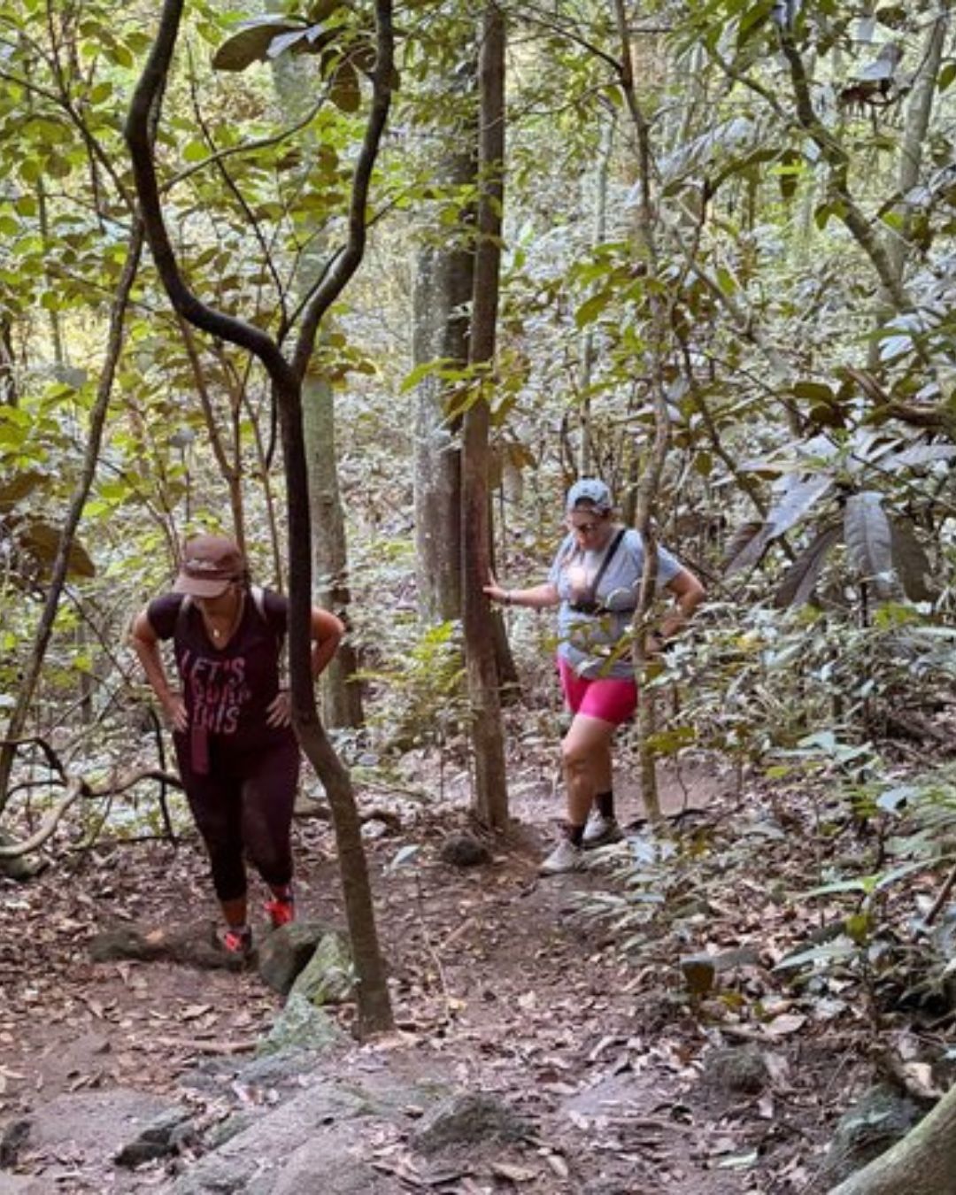 Caminhada em Trilha no Rio de Janeiro para Mulheres 40+ 3 Caminhada na trilha dos primatas para mulheres 40+