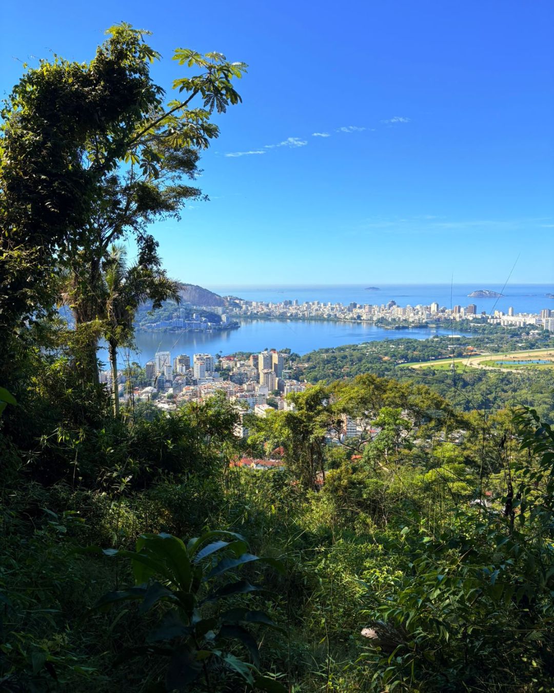Caminhada em Trilha no Rio de Janeiro para Mulheres 40+ 6 Caminhada na trilha dos primatas para mulheres 40+