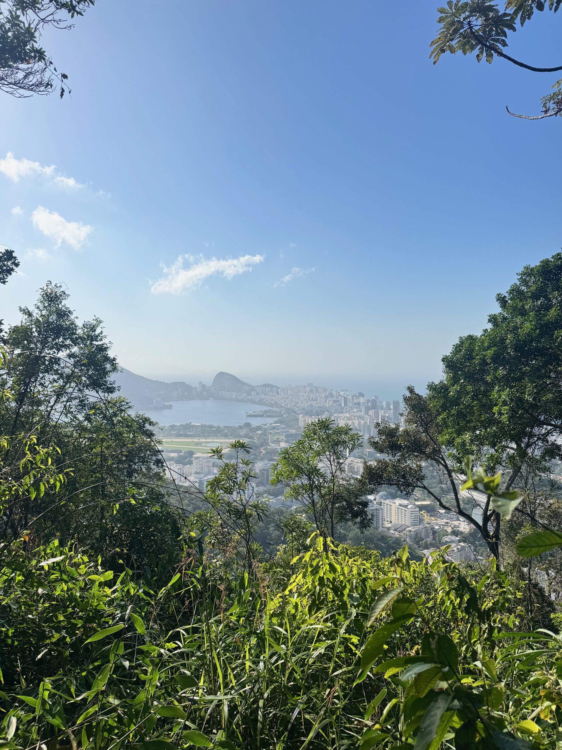 Floresta da Tijuca: 1 Portal Natural no Meio do Rio de Janeiro 2 Trilhas no Rio de Janeiro