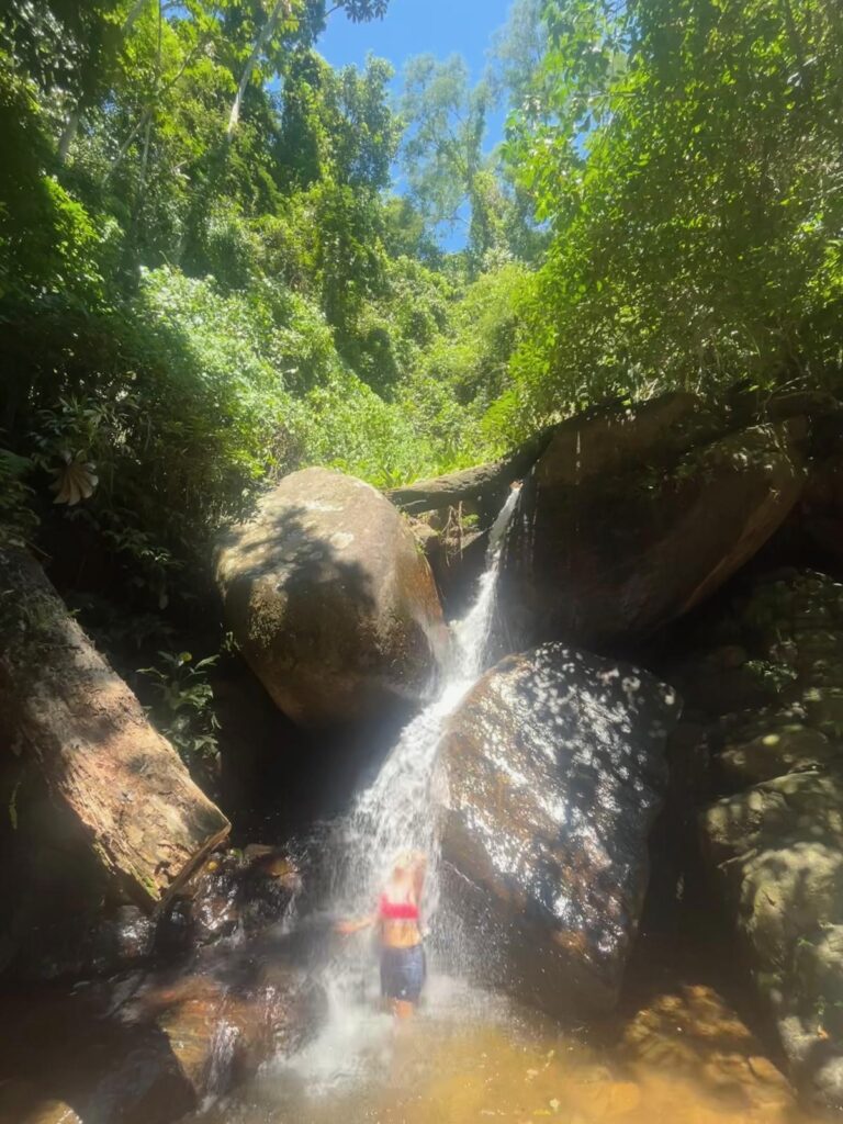 Floresta da Tijuca: 1 Portal Natural no Meio do Rio de Janeiro 3 Trilhas no Rio de Janeiro